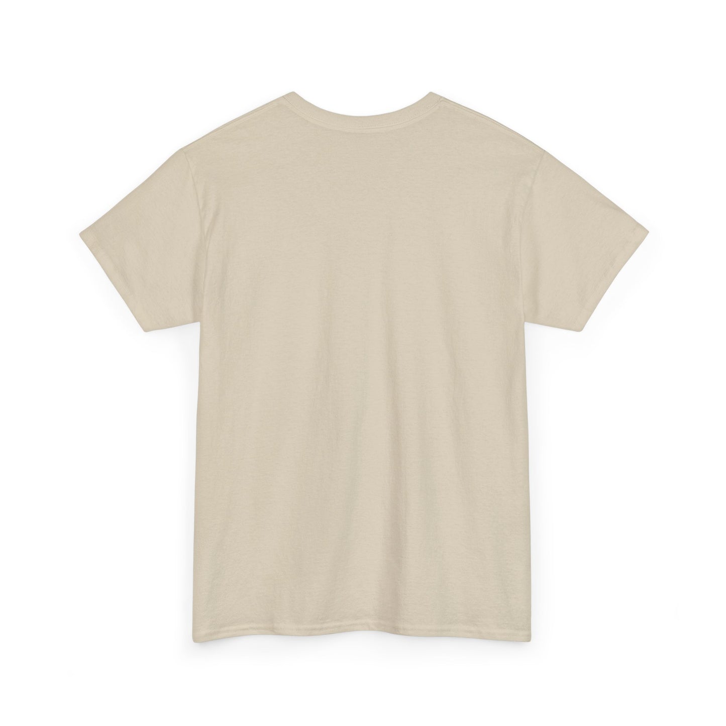 "Party in the USA" Unisex Heavy Cotton Tee