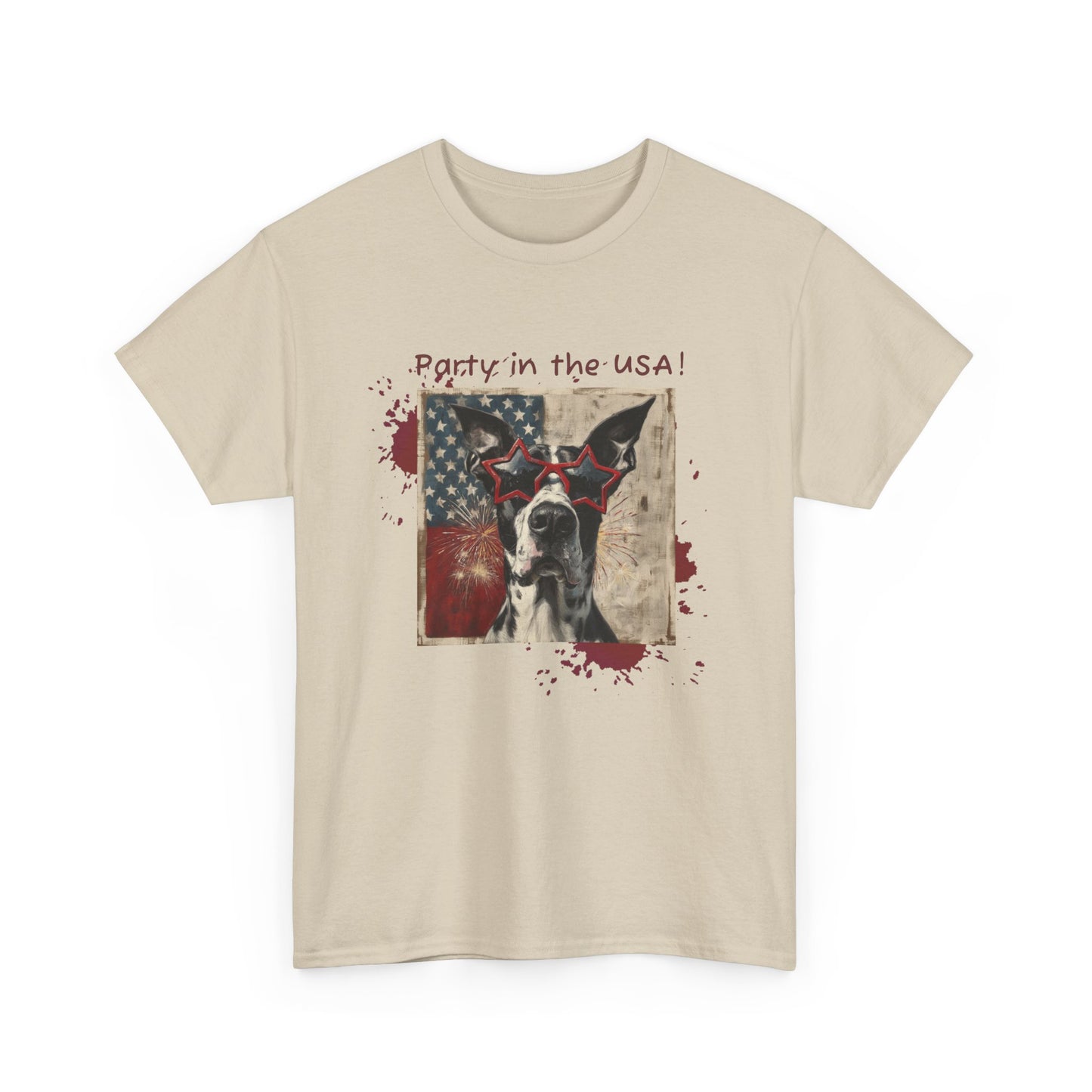 "Party in the USA" Unisex Heavy Cotton Tee