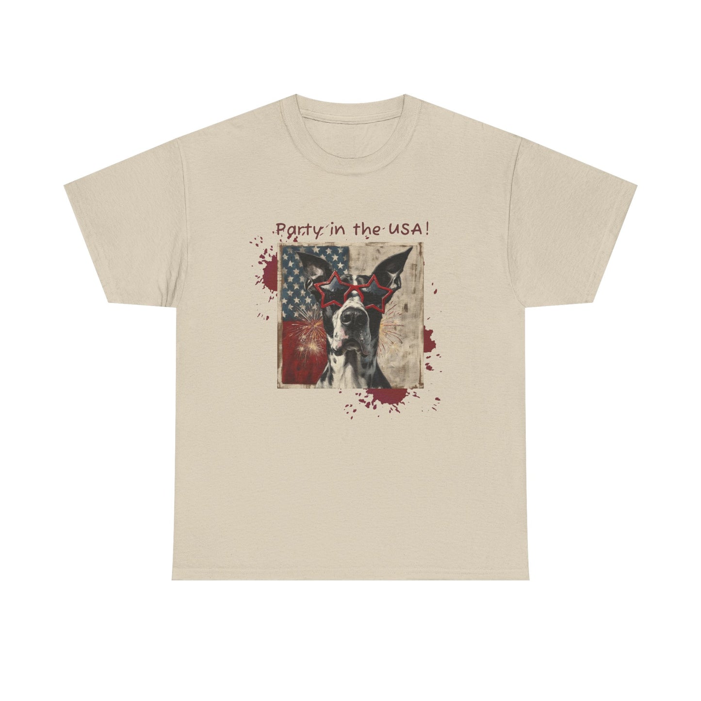 "Party in the USA" Unisex Heavy Cotton Tee