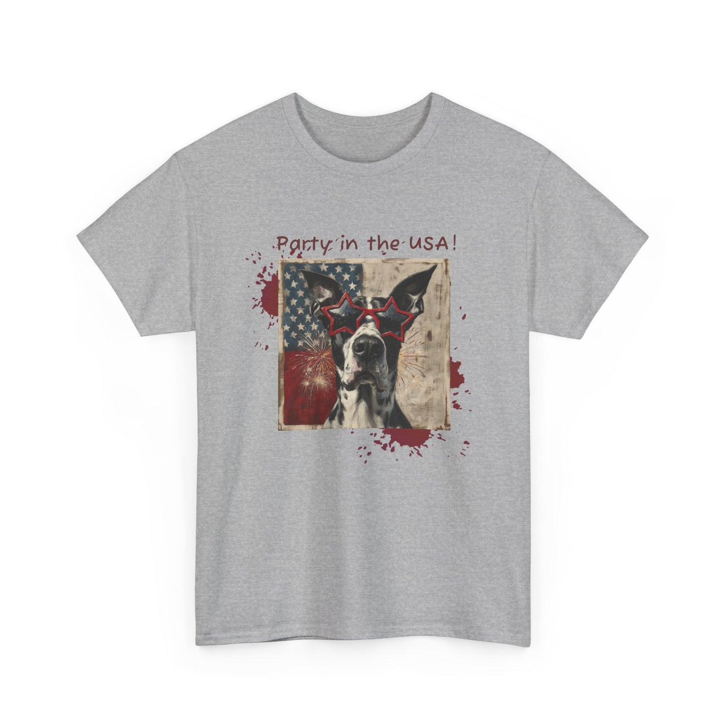 "Party in the USA" Unisex Heavy Cotton Tee