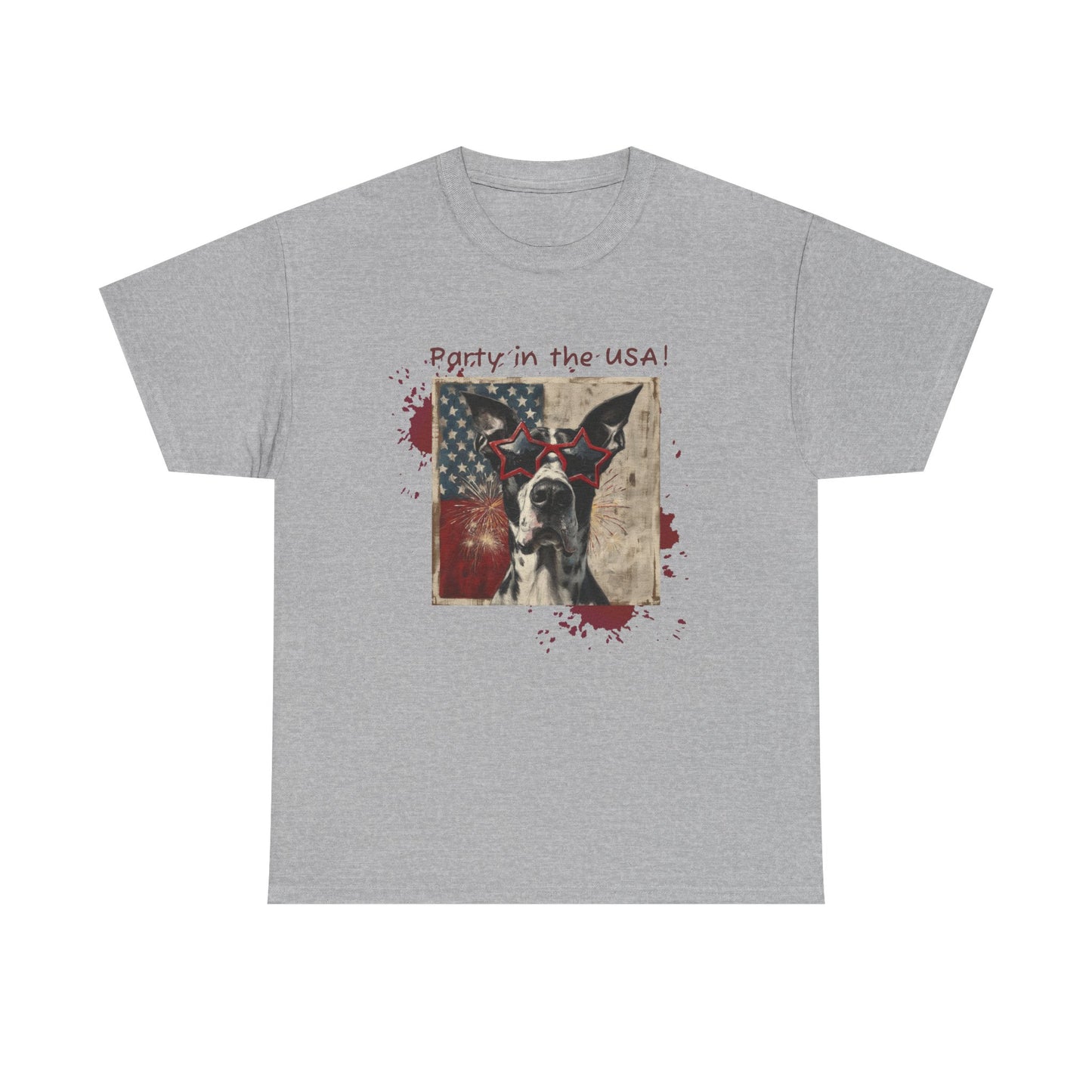 "Party in the USA" Unisex Heavy Cotton Tee