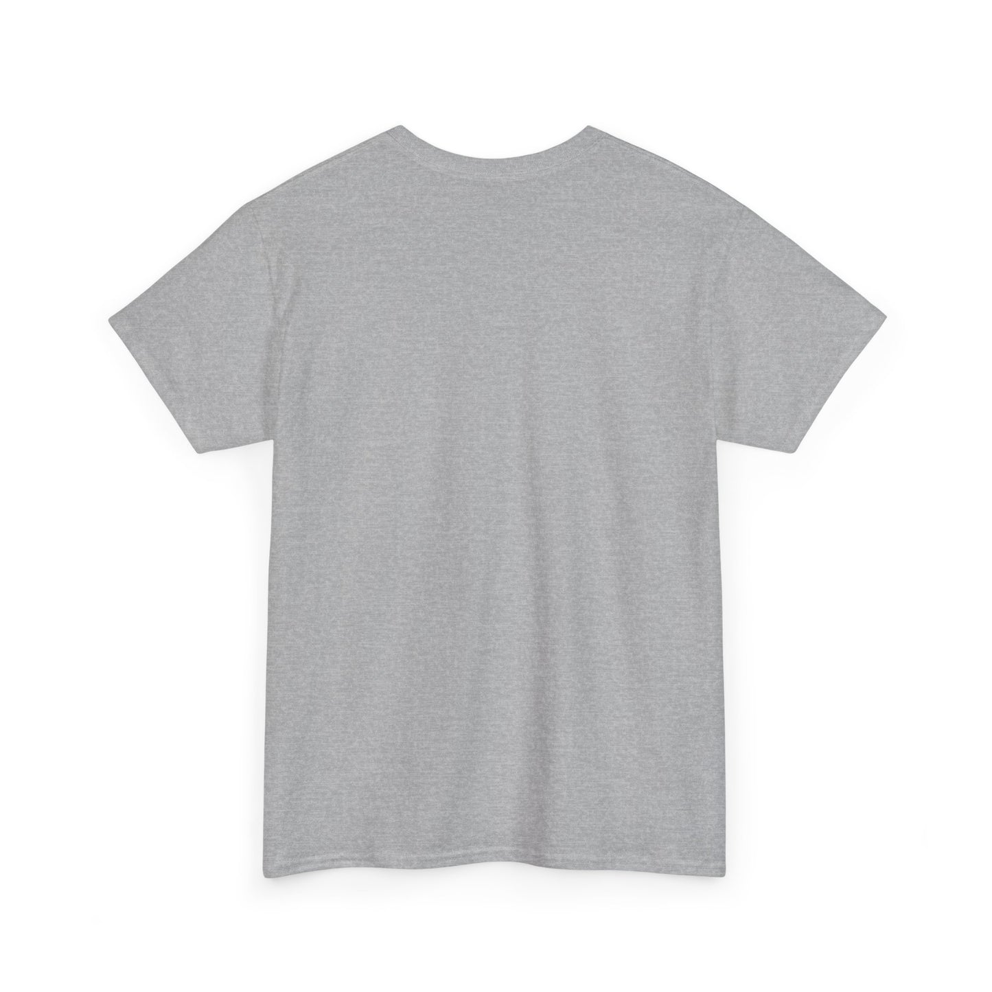 "Party in the USA" Unisex Heavy Cotton Tee